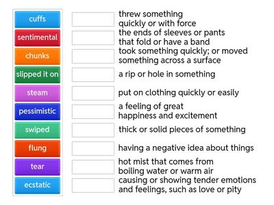 EXCERPT The Jacket + Mood/Tone VOCAB