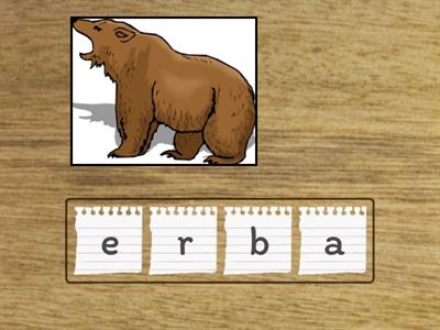 Animals anagram 4th