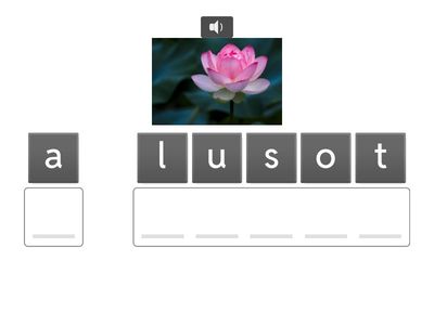 Digi Science - Unit 4 - Review