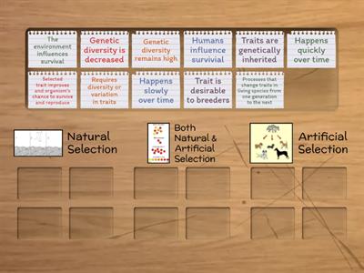 Natural Selection vs. Artificial Selection