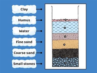 Sci P.2 components in soil