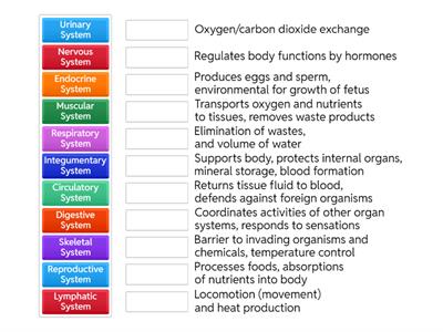 Body System Functions