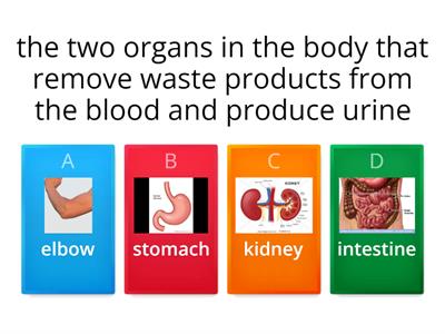  Solutions Inter 3rd 3A Parts of the body   