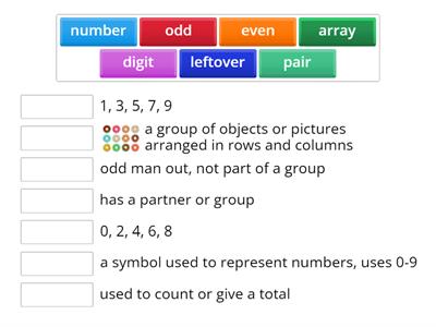 Even and Odd Vocabulary