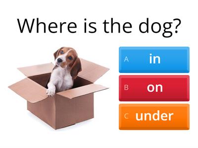 Prepositions in, on, under