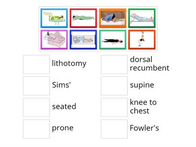 Examination Positions Match-Up