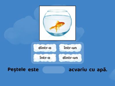 Într-o/dintr-o, într-un/dintr-un