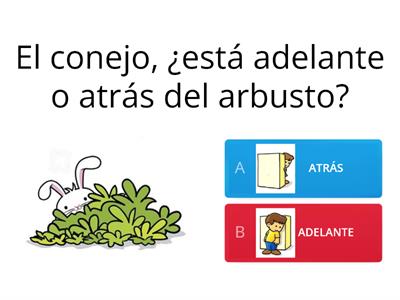 ADELANTE-ATRÁS.  Seño Ceci