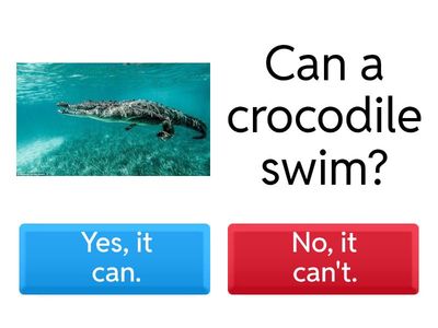 START - UNIT 7 - GRAMMAR