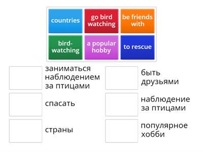 6 класс , unit 2 gymn