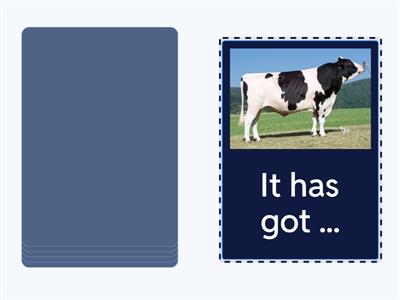 Power Up 1 Unit 3 It has got/hasn't got