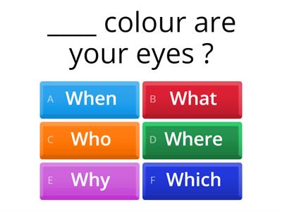 SP4 unit 7 How / What / When / Who / Where / Why / Which 