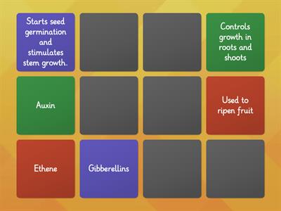 Plant Hormones