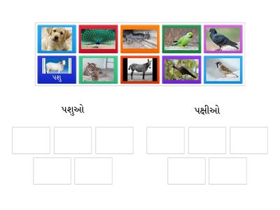 ચાલો પશુ પ્રાણી ને અલગ કરીએ