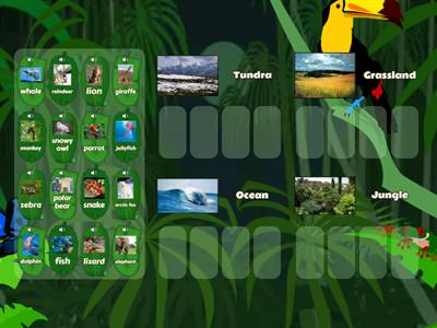 Power Up 1 Unit 6 Where do wild animals live?