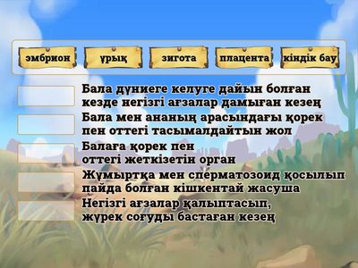 Терминдерді сәйкестендіру