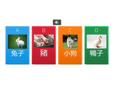 動物 （小波會數數）選一選