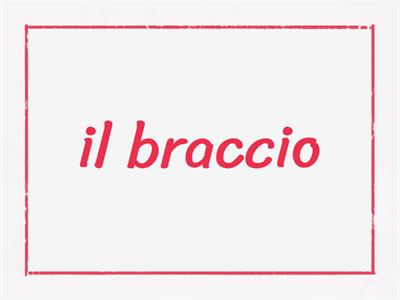 Nepravilna mnozina - flash cards