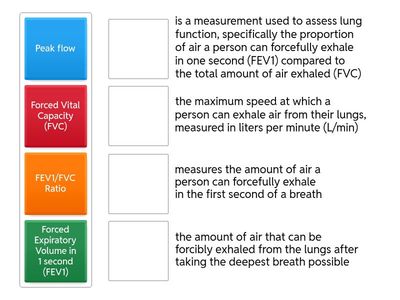 Spirometry and Peak Flow Key Terms