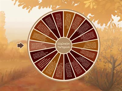 ÇARK ÇEVİRME kopyası kopyası