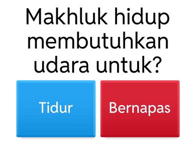 Kuis seru belajar kelas 3 SD