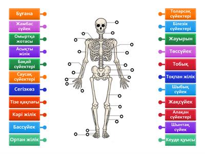 Олар кеуделерін кесіп тастады