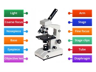 Labeling Microscope