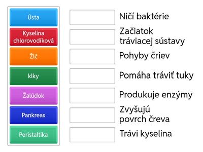 Tráviaca sústava človeka