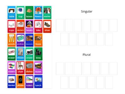 Singular and Plural Nouns