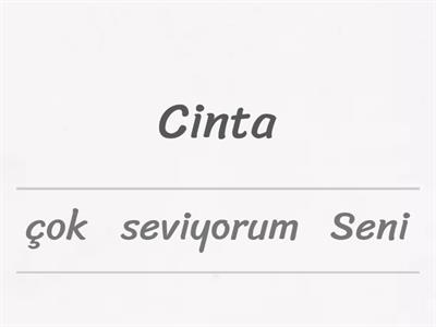 Frasa Cinta Bahasa Turki