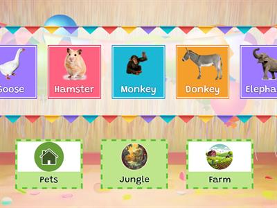 Where do animals live?