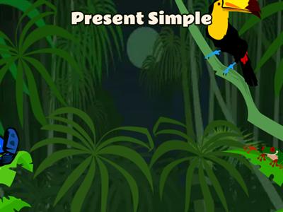 Present Simple (expressions)