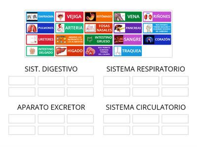 FUNCION DE NUTRICION