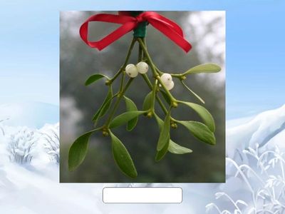 Christmas Vocab - type it