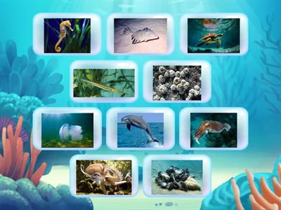 Морські жителі