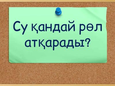 4-КЕЗЕҢ: «ФОТОСИНТЕЗ ФОРМУЛАСЫ»