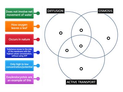 Diffusion, osmosis, active transport