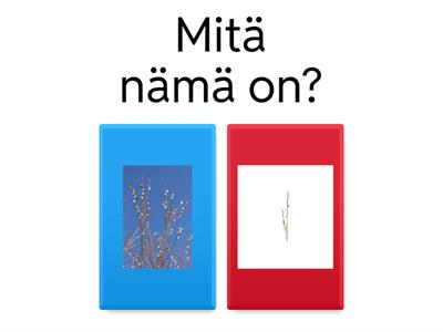 HLS Fondo kevätvisa alakoulu