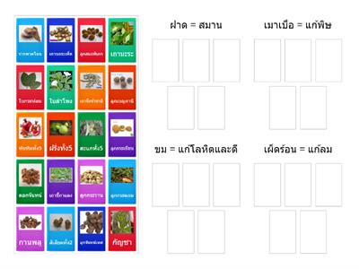 ตัวยา 9 รส +รูป (1.2)