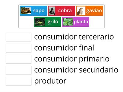 cadeia alimentar luis felipe