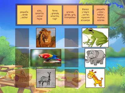 descripción animales