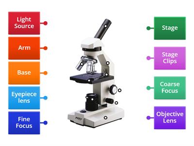 Label the Light Microscope