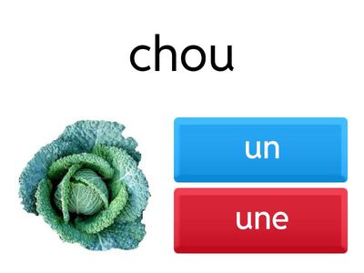 Féminin ou masculin 