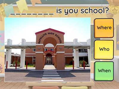  Who / What / When / Where / How