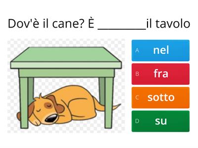 Dove si trova? preposizioni di luogo