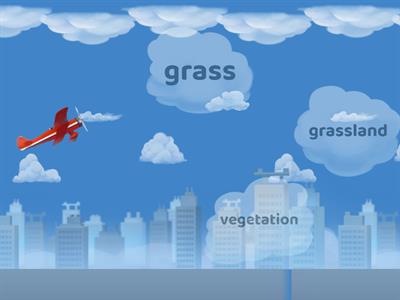 Grasslands Airplane Game