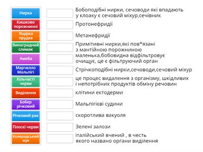 Виділення тварин