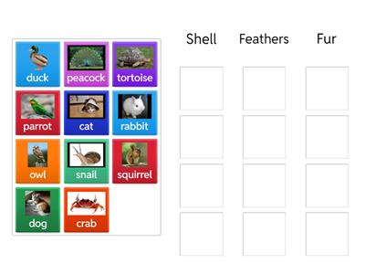 English Quest 1 Unit 5 Shell, feathers, fur