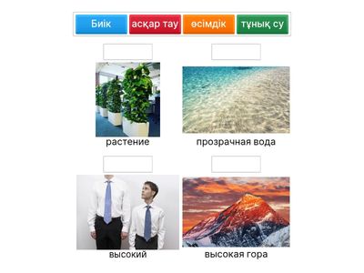 Сөздерді сәйкестендір