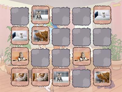 Меморі котики